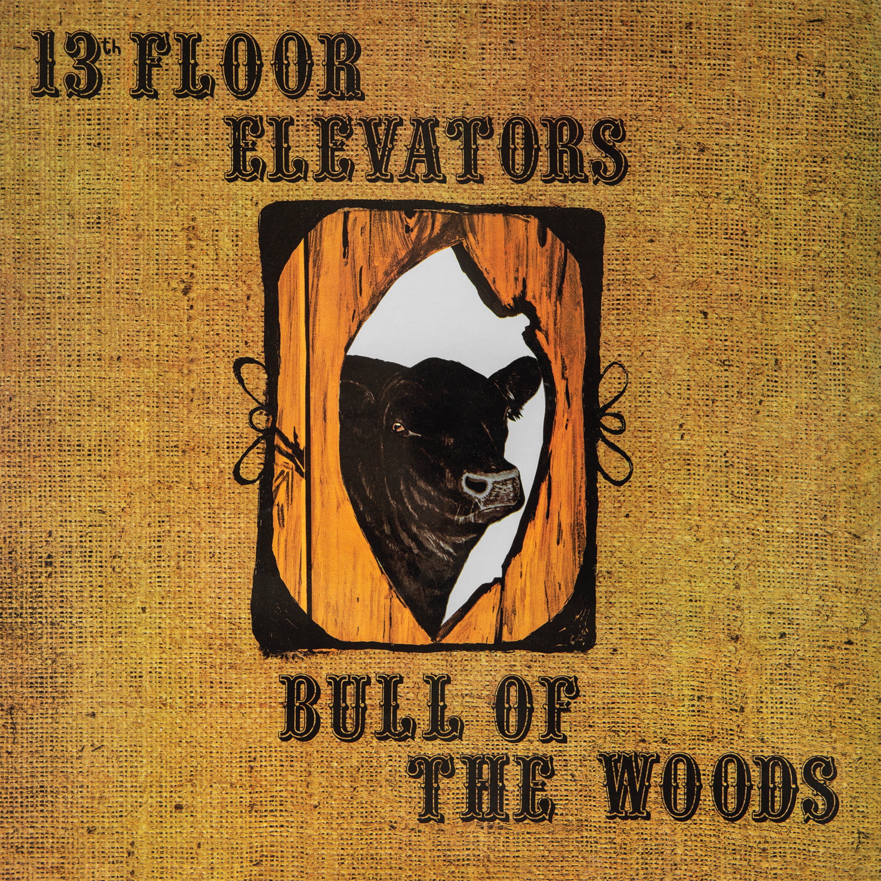 13TH FLOOR ELEVATORS - BULL OF THE WOODS